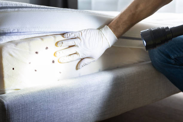Pest Control Cost in Oakbrook, KY