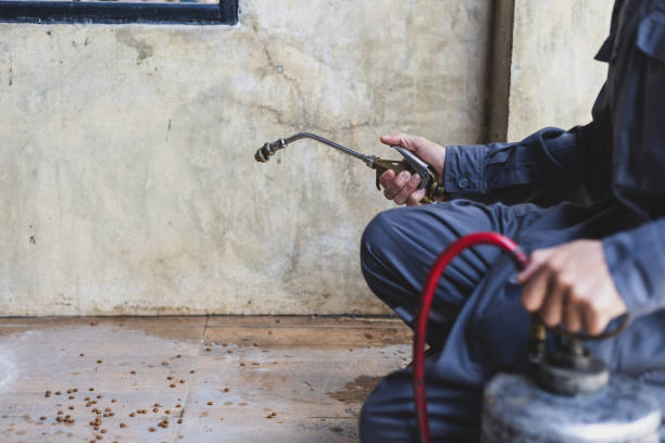 Best Wasp Removal Services  in Oakbrook, KY